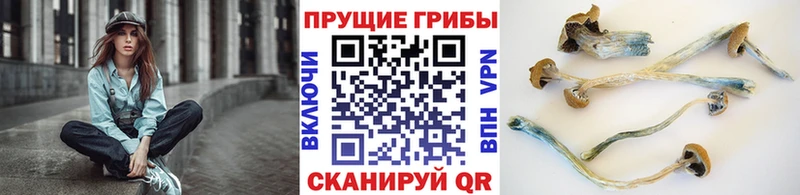 Псилоцибиновые грибы мухоморы  Купить  Костомукша 